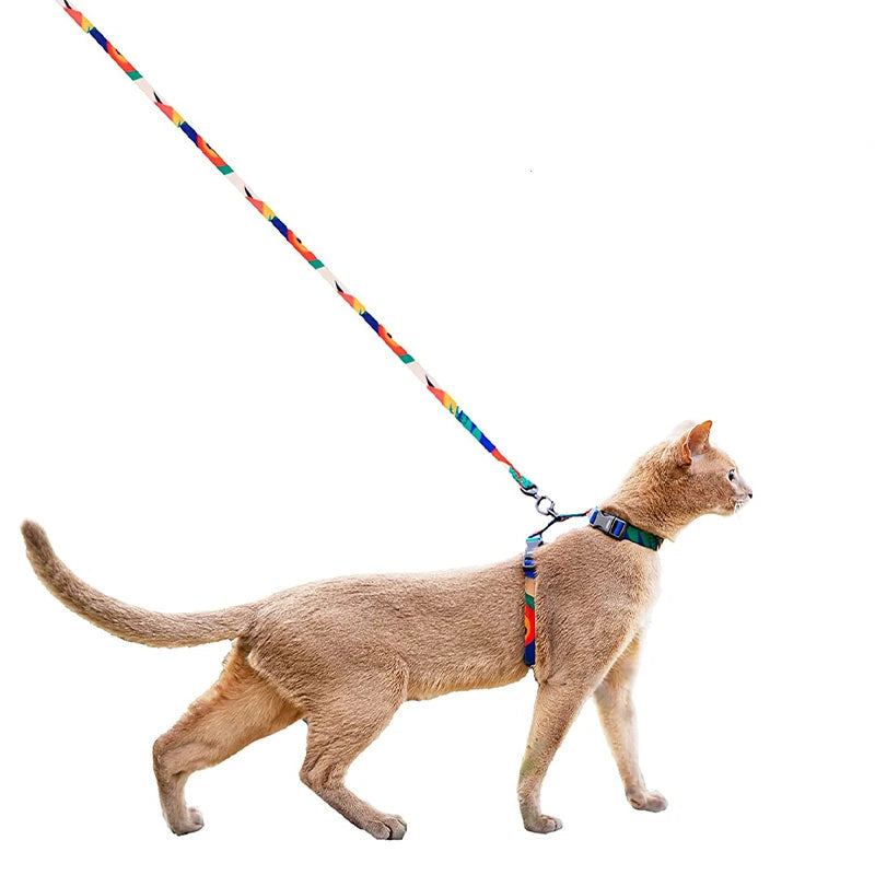 Cat wearing escape-proof harness and leash outdoors