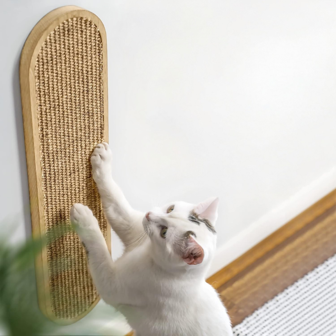 Cat playing with a sisal-wrapped cat scratcher on a white wall.