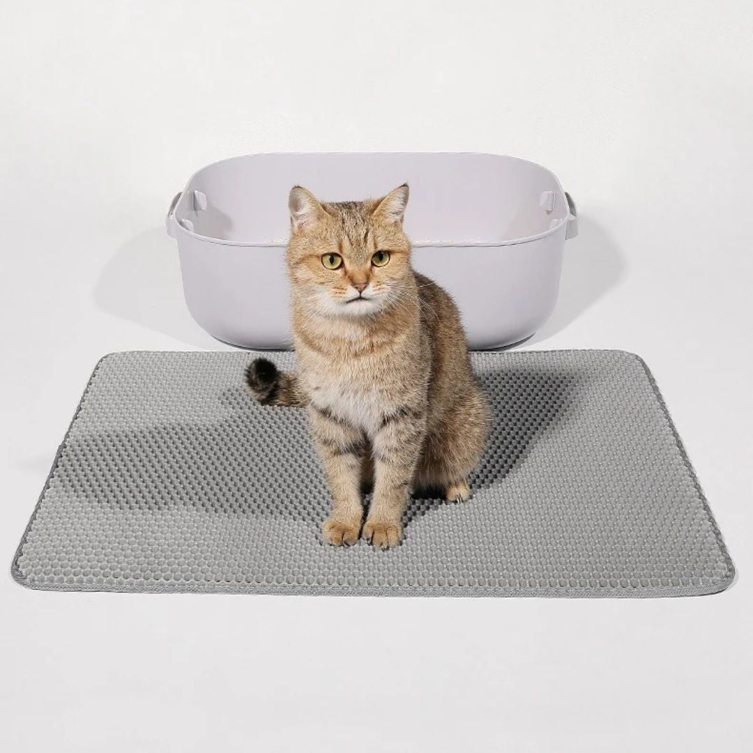 Double layer cat litter mat under litter box