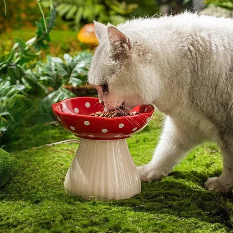 Stylish ceramic elevated cat feeder for cats