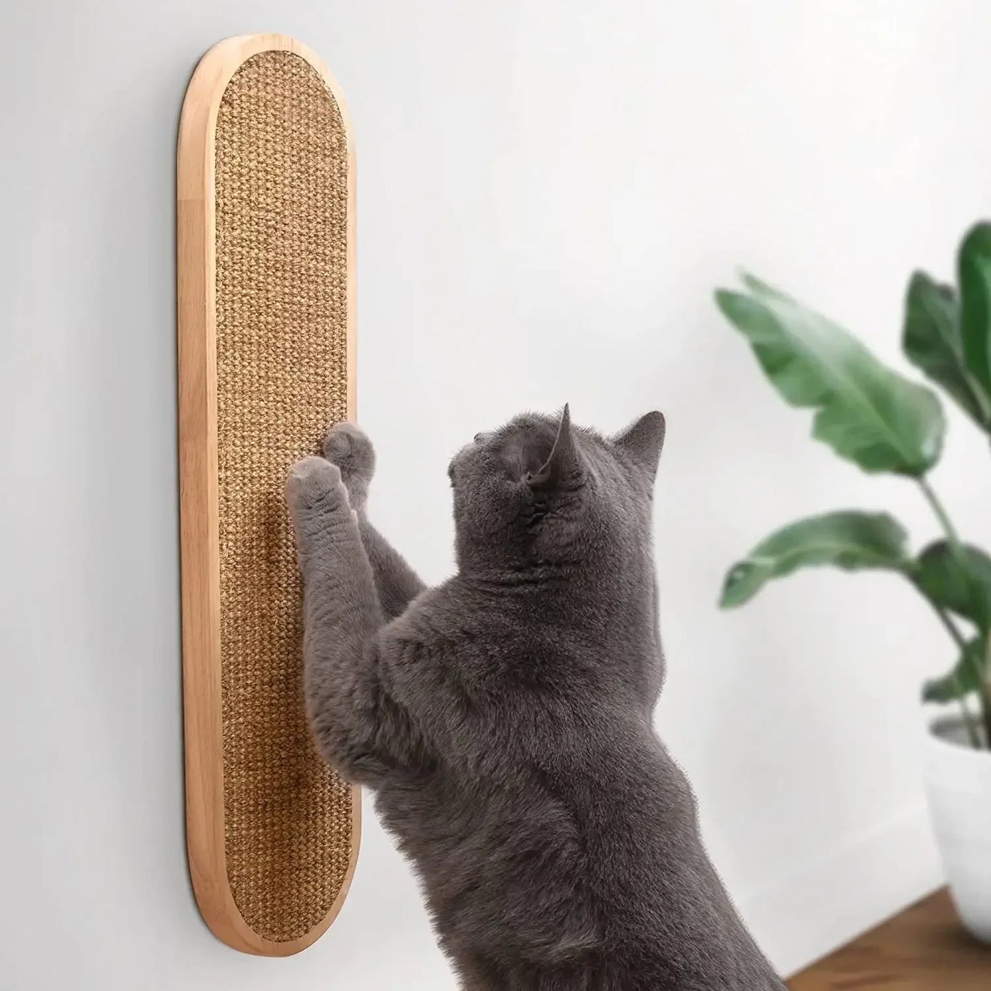 Cat using a wall-mounted scratching pad with a plant in the background