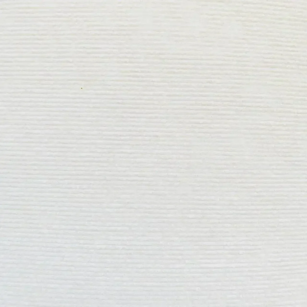 Close-up of white self-adhesive cat carpet