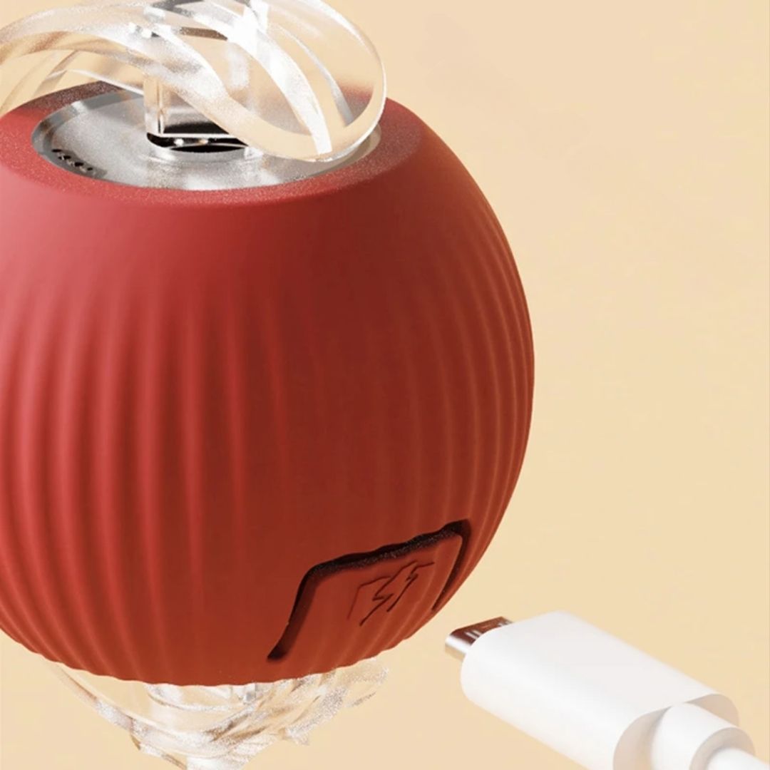 rechargeable cat interactive ball with type-c cable