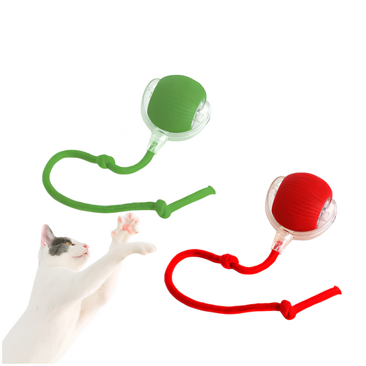 cat interactive ball smart toy for indoor cats
