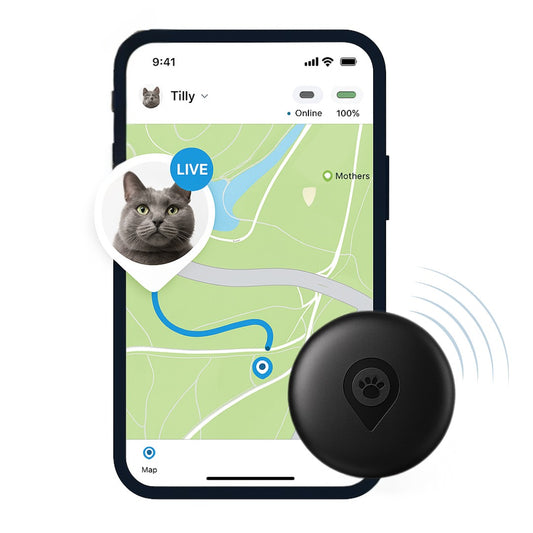 Cat Tracker lightweight device for cats