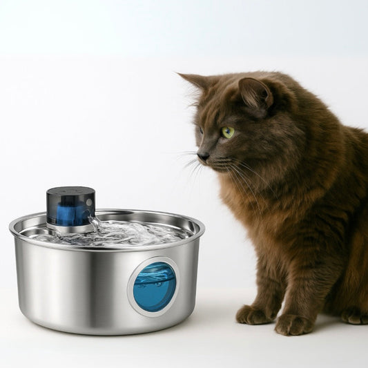 Best Smart Cat Water Fountain 2025 
