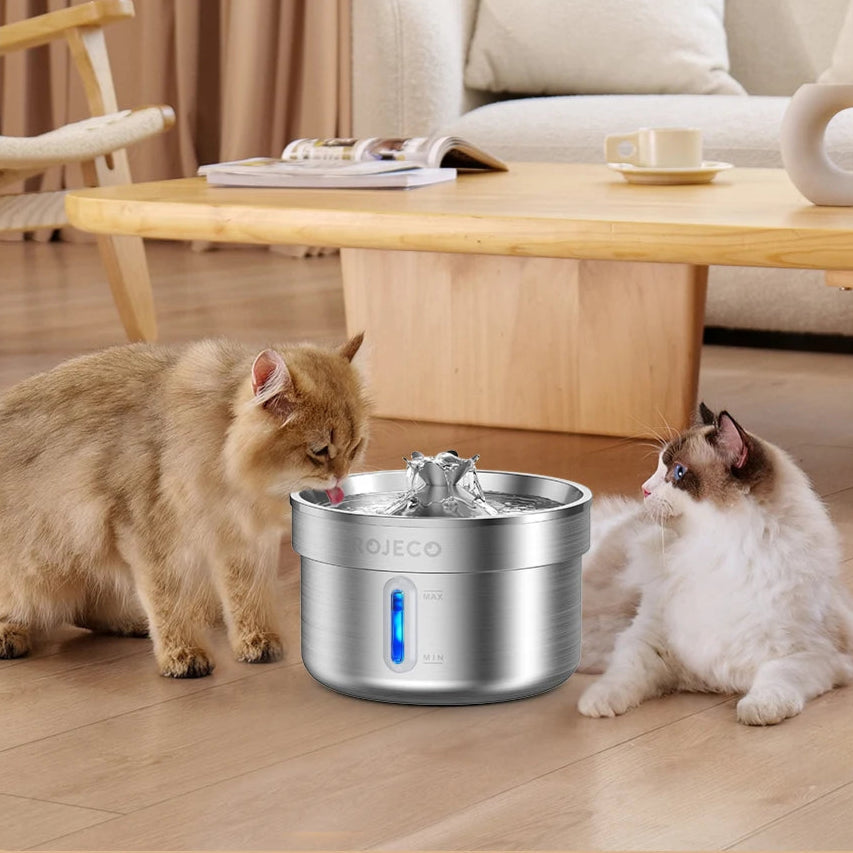 Two cats near a stainless steel pet water fountain in a living room setting.