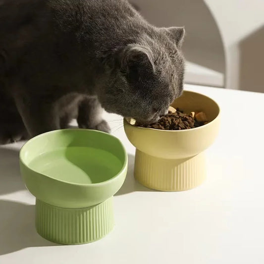 Cat eating from a green elevated food bowl on a white surface
