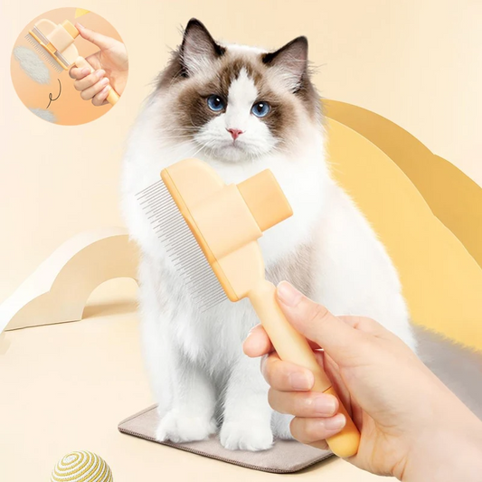 Cat being groomed with a brush by a hand on a beige background
