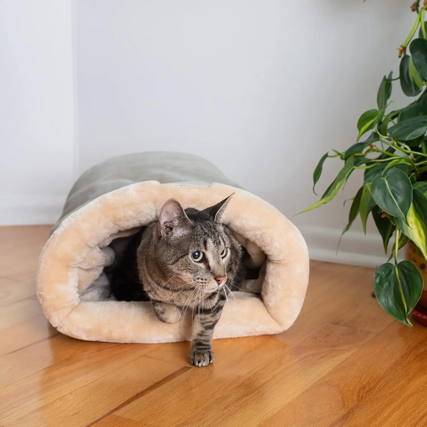 cat cave bed with a cozy semi-enclosed design