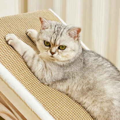 Cat using scratcher roof on cozy cat house